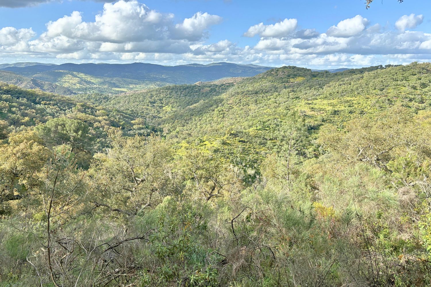 Finca cerca del pueblo