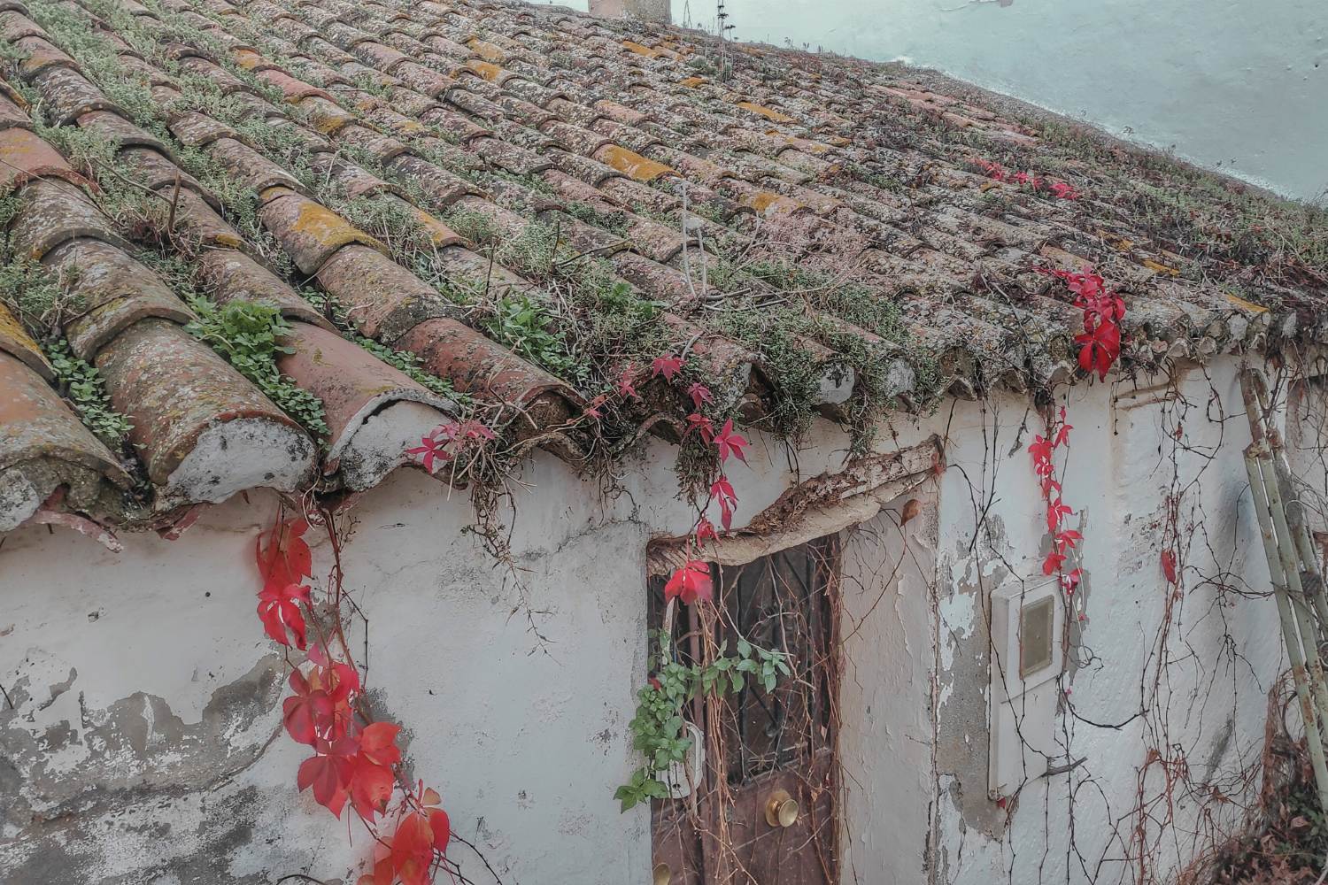 El mito de la casa barata en la Sierra de Aracena: desmitificando el sueño inmobiliario